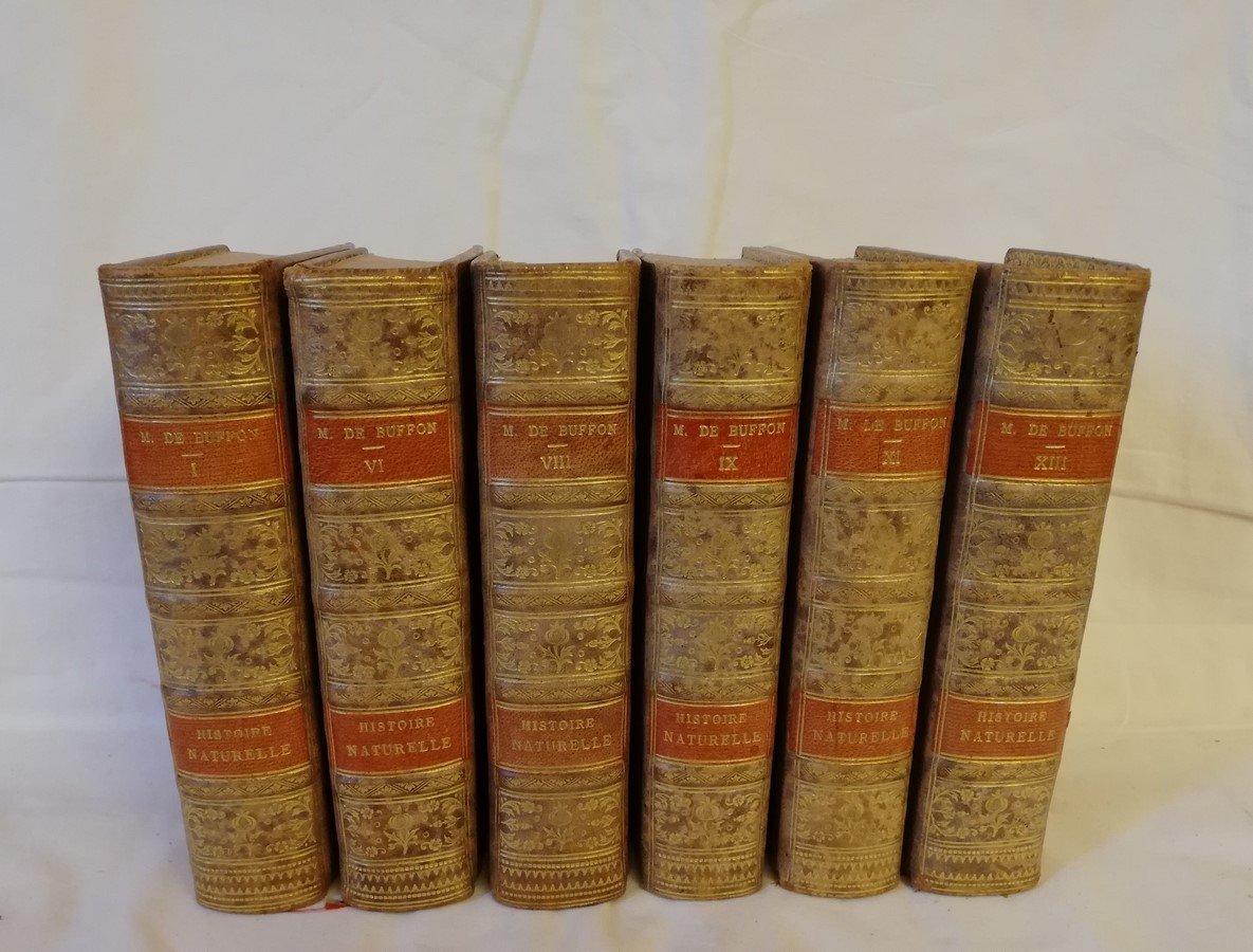 Six Volumes 18th Buffon