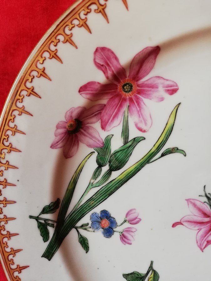 China Porcelain Plate-photo-4