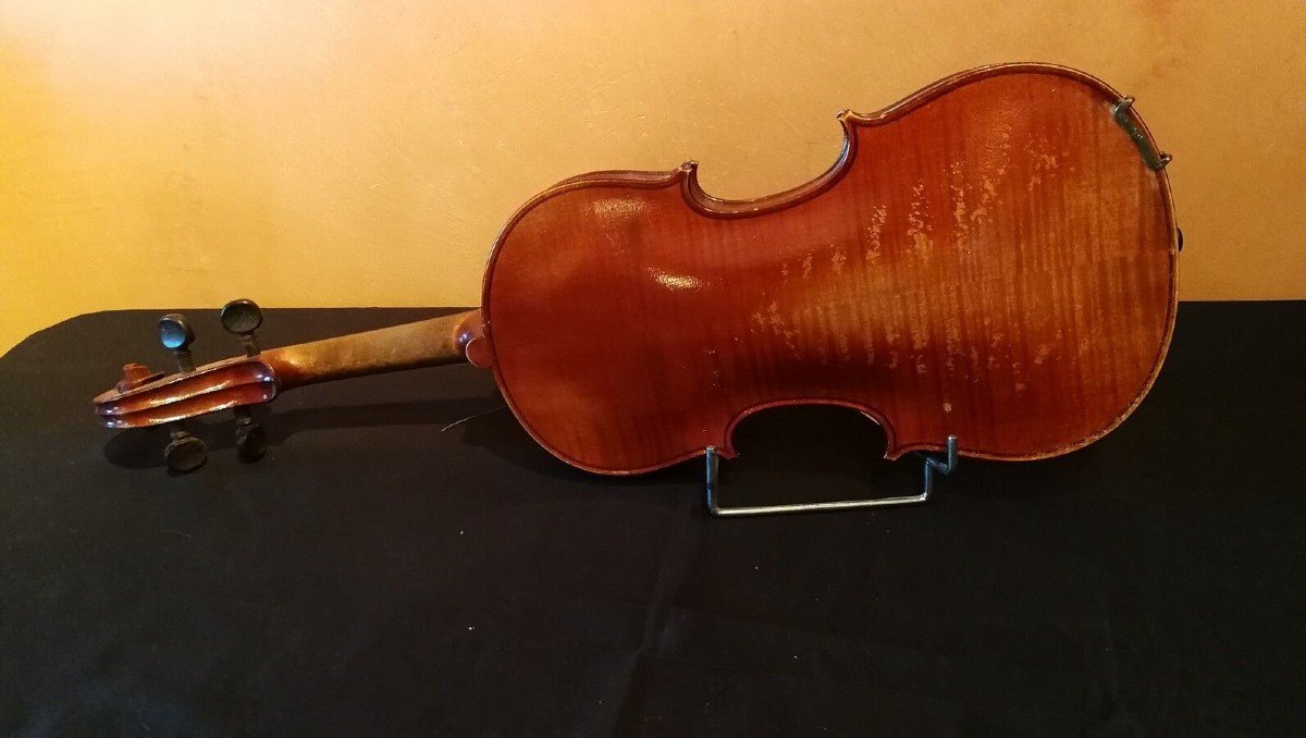 Whole Violin 4/4-photo-2