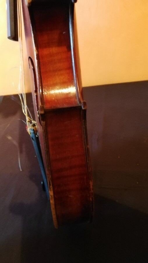 Whole Violin 4/4-photo-2