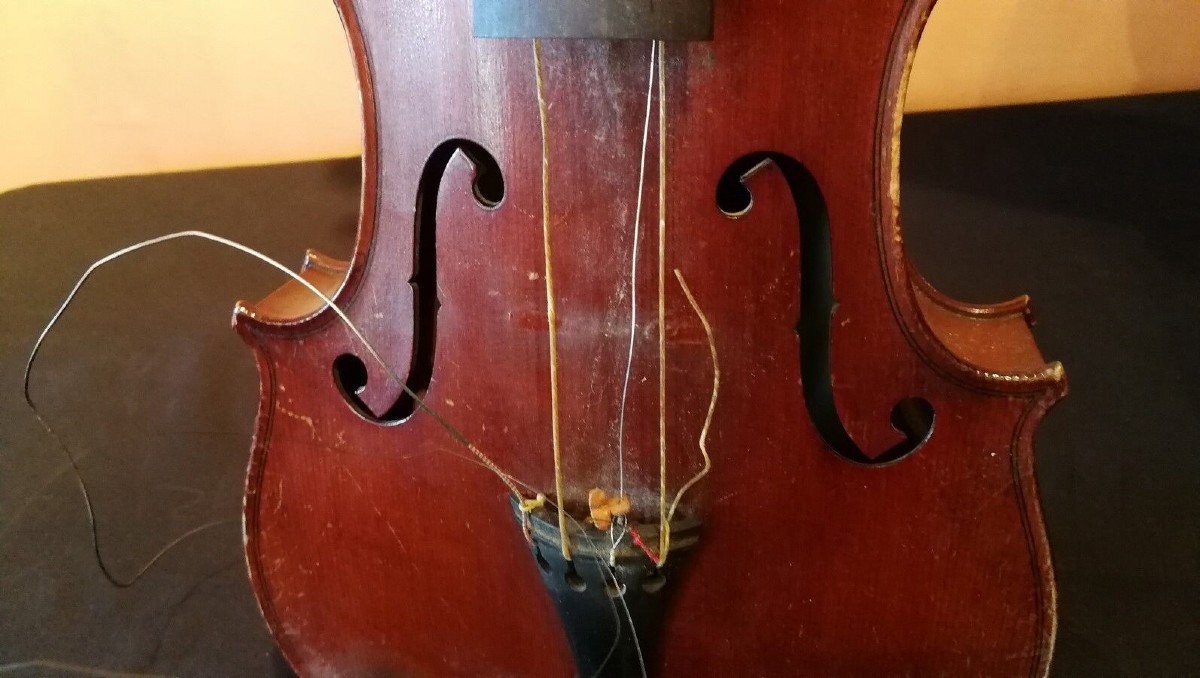 Whole Violin 4/4-photo-4