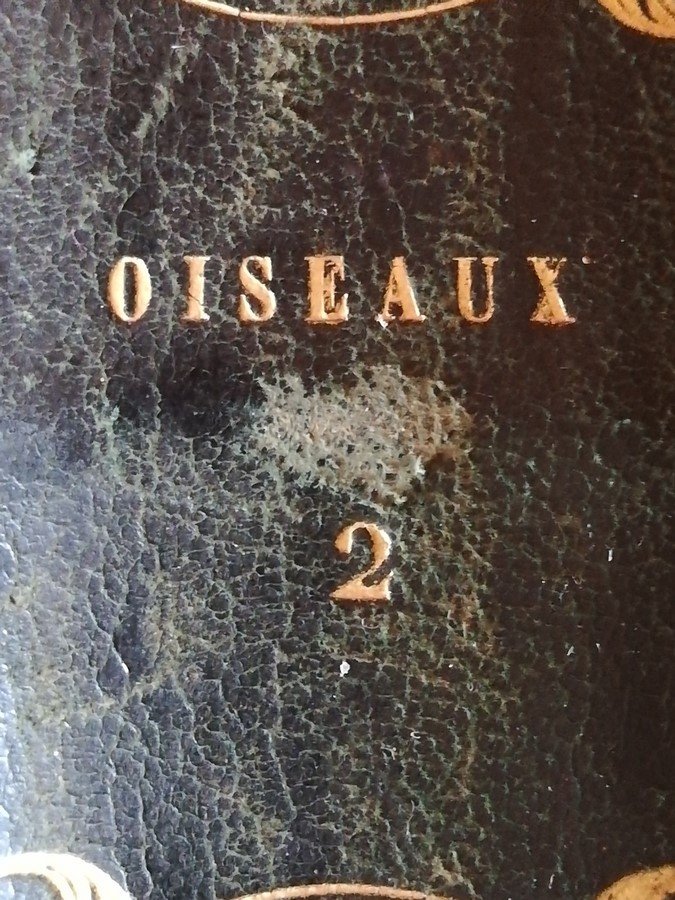Six volumes BUFFON-photo-4