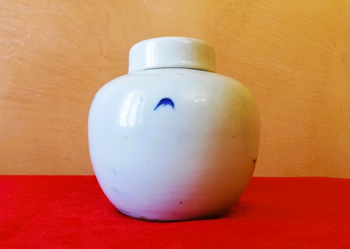 Small Covered Chinese Pot-photo-3