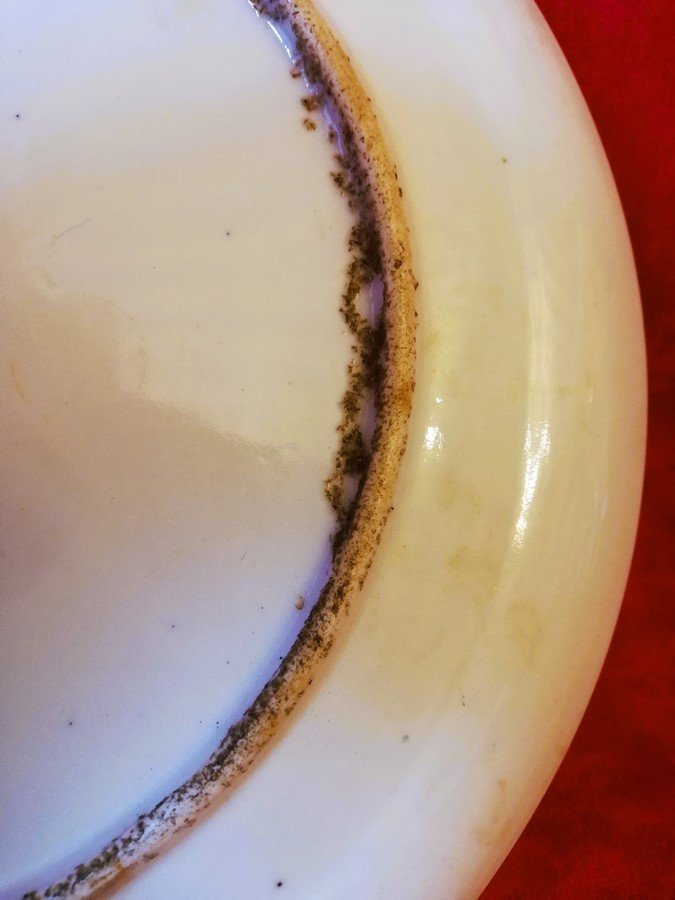 Qianlong China Plate-photo-5
