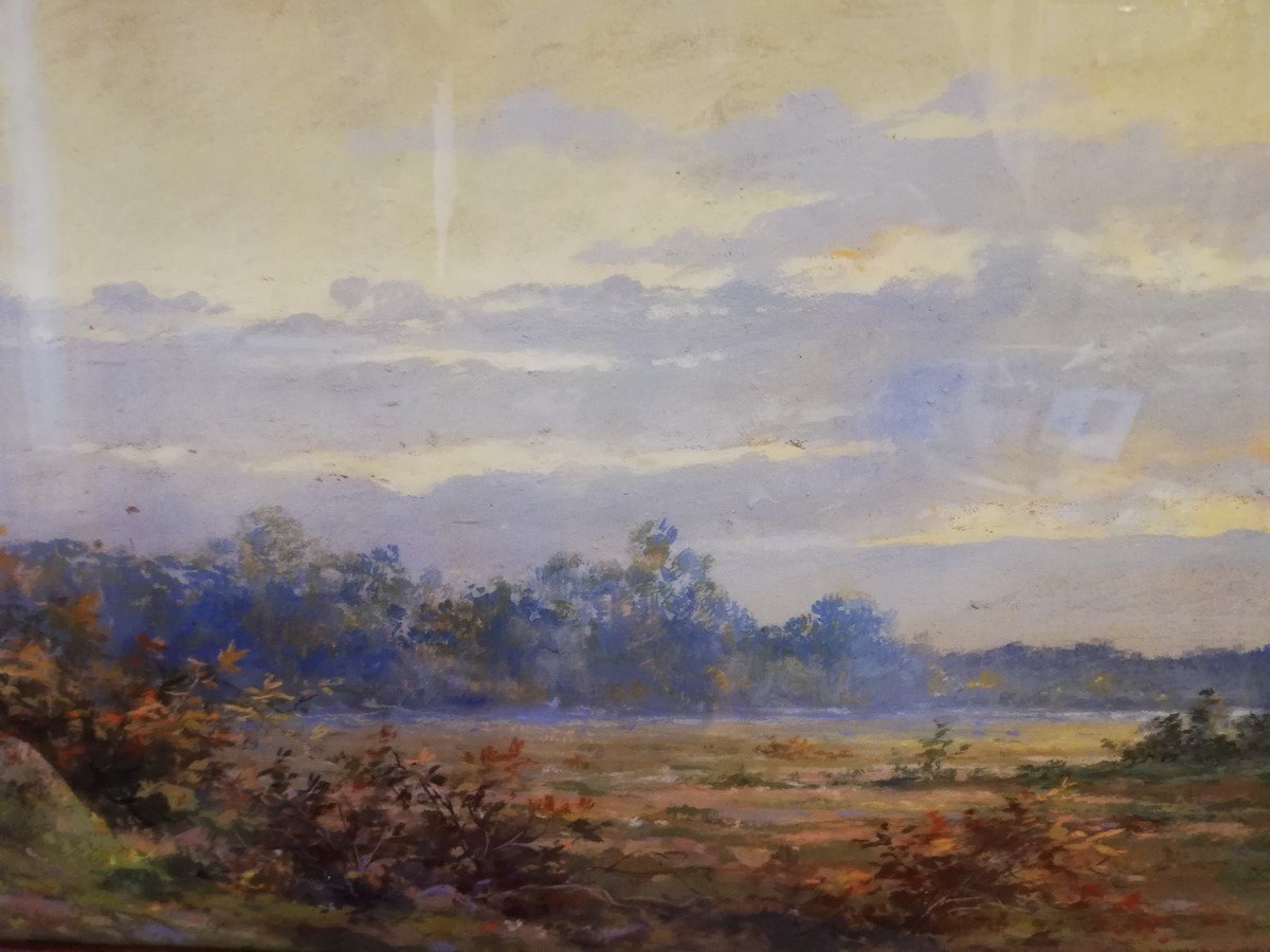 Large Gouache Watercolor -photo-3