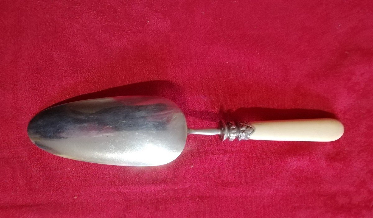 Dessert Shovel  -photo-2