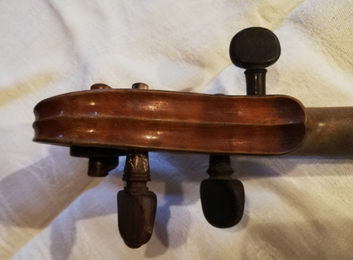 Italian Violin -photo-3