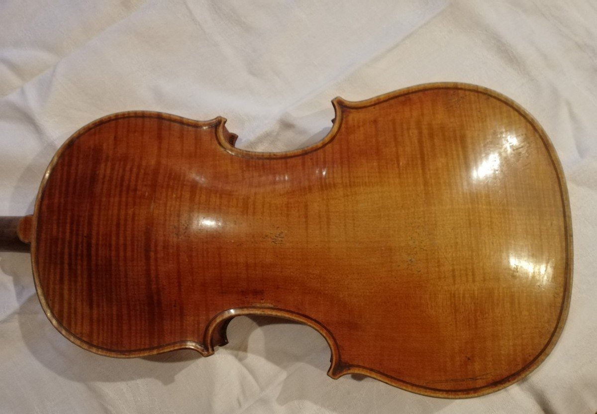 Italian Violin -photo-5