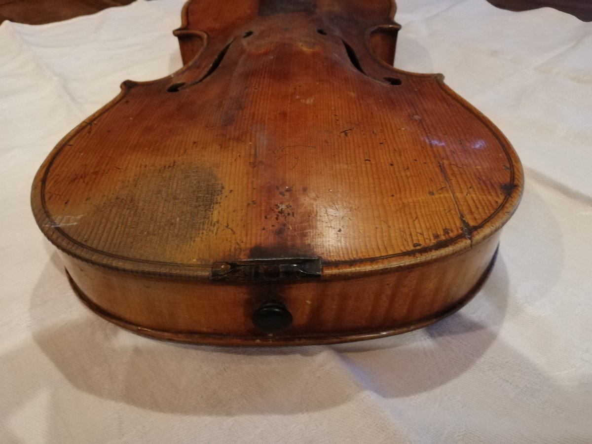 Italian Violin -photo-6