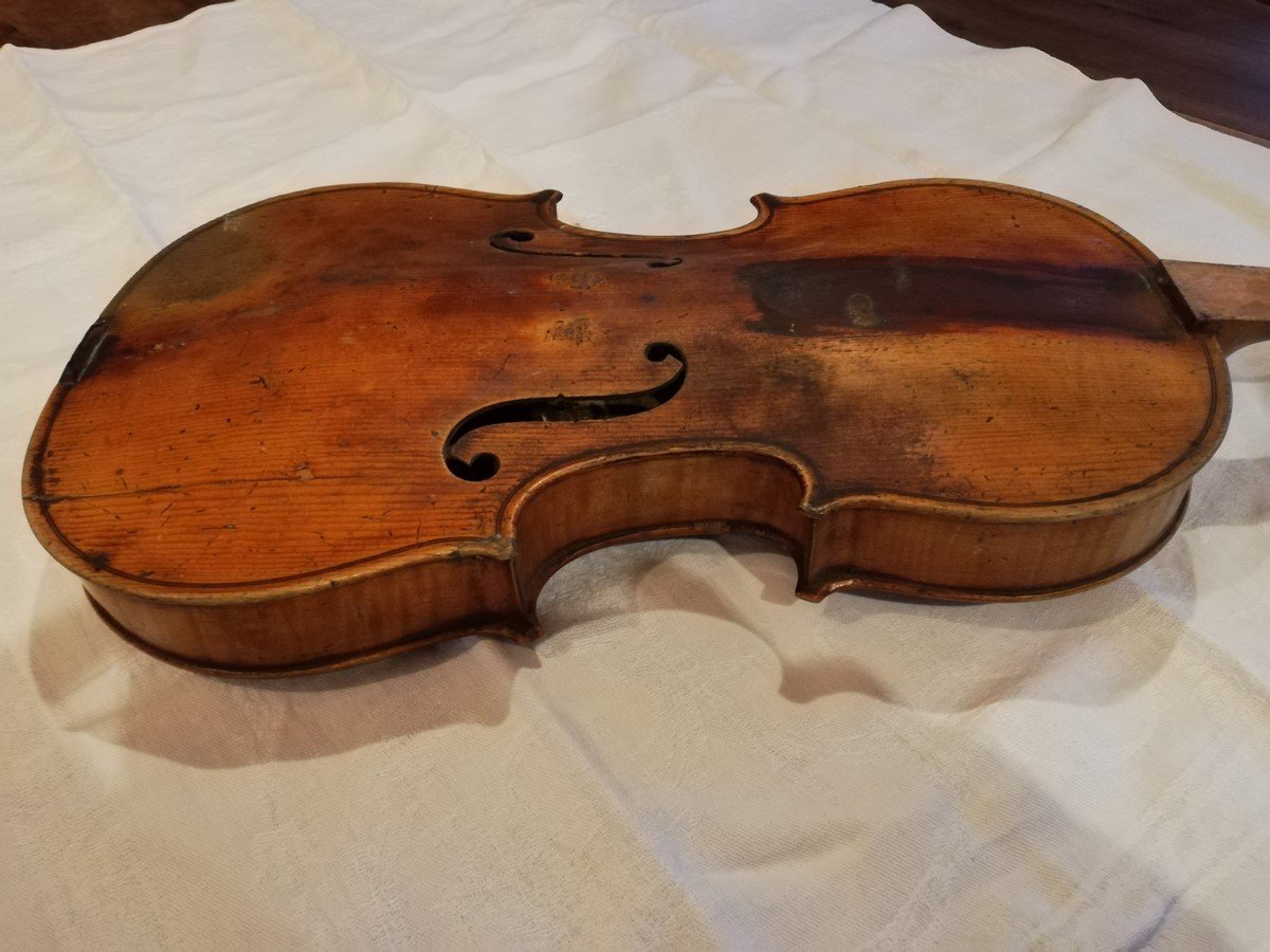 Italian Violin -photo-8