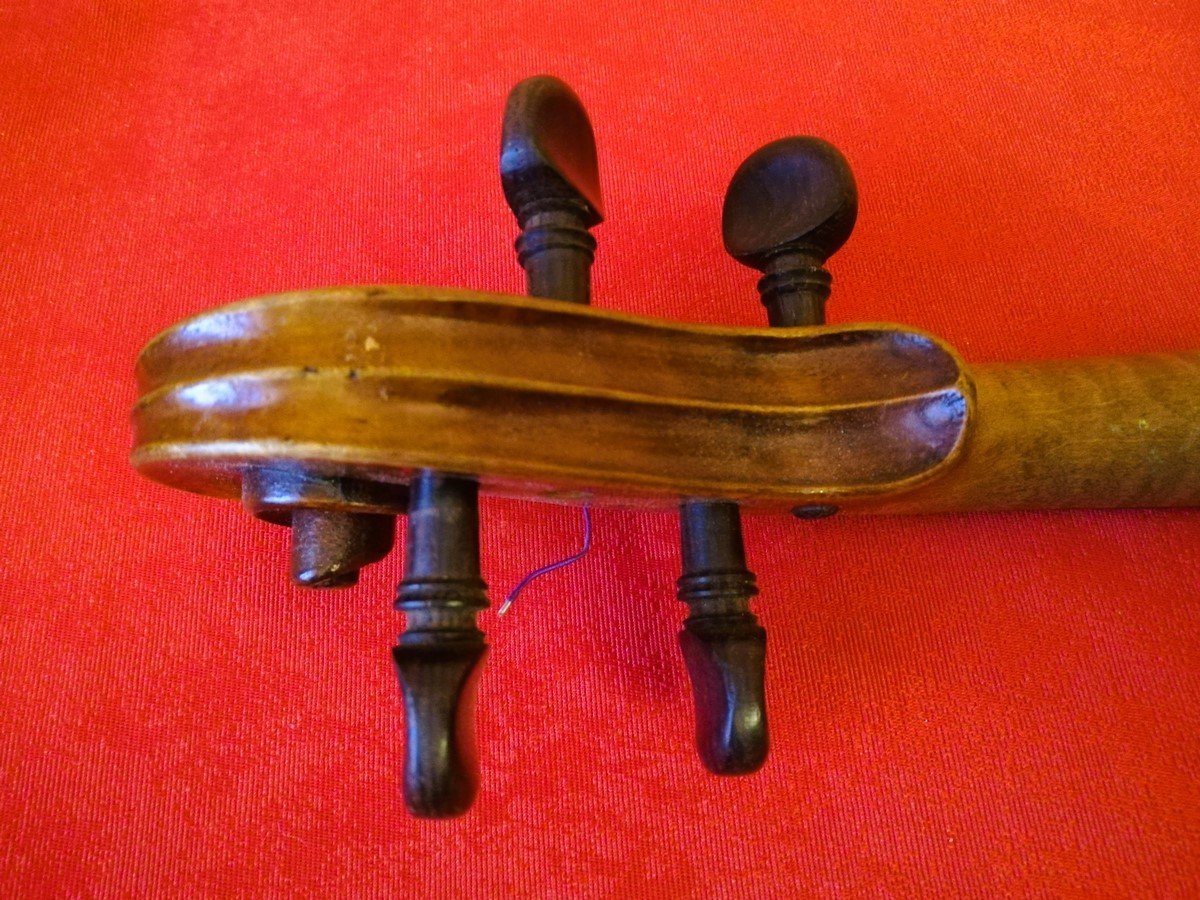 Italian 4/4 Violin -photo-7