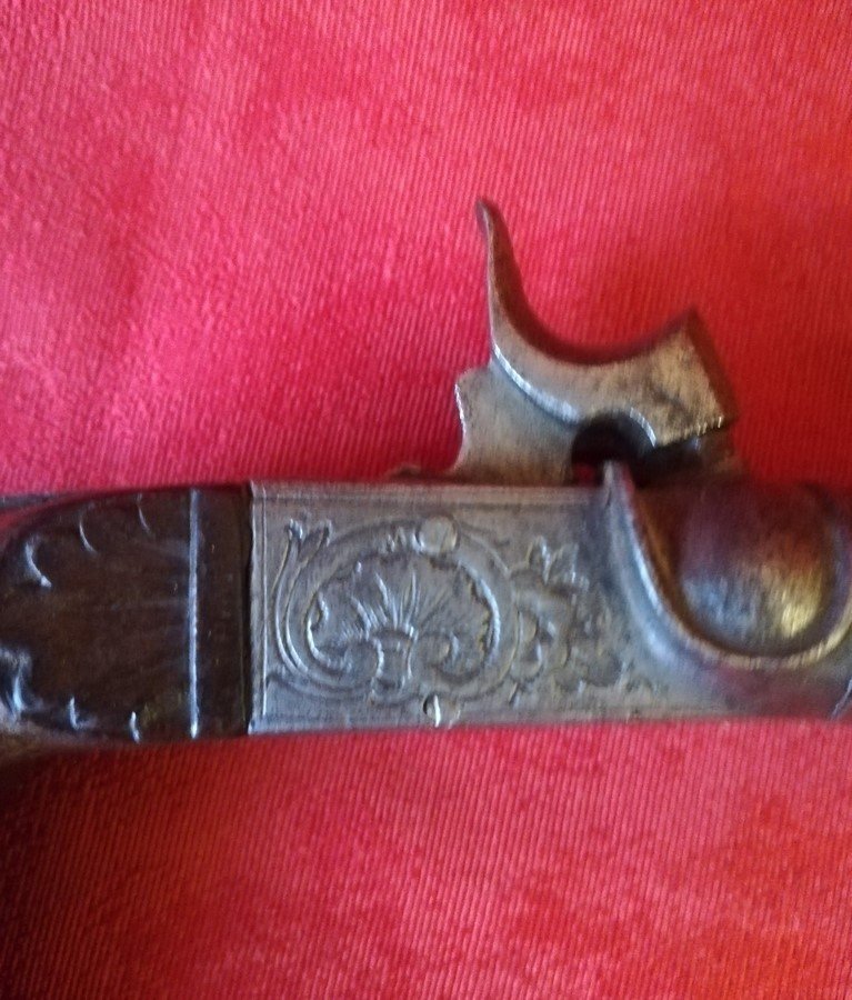 Double Barrel Pistol -photo-2