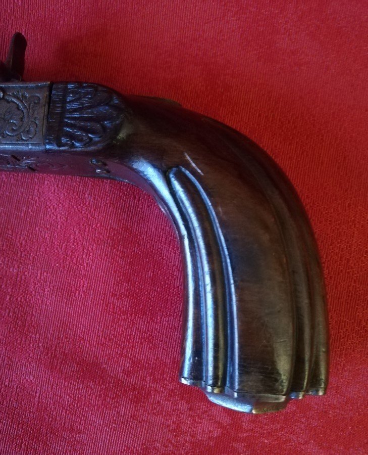 Double Barrel Pistol -photo-4