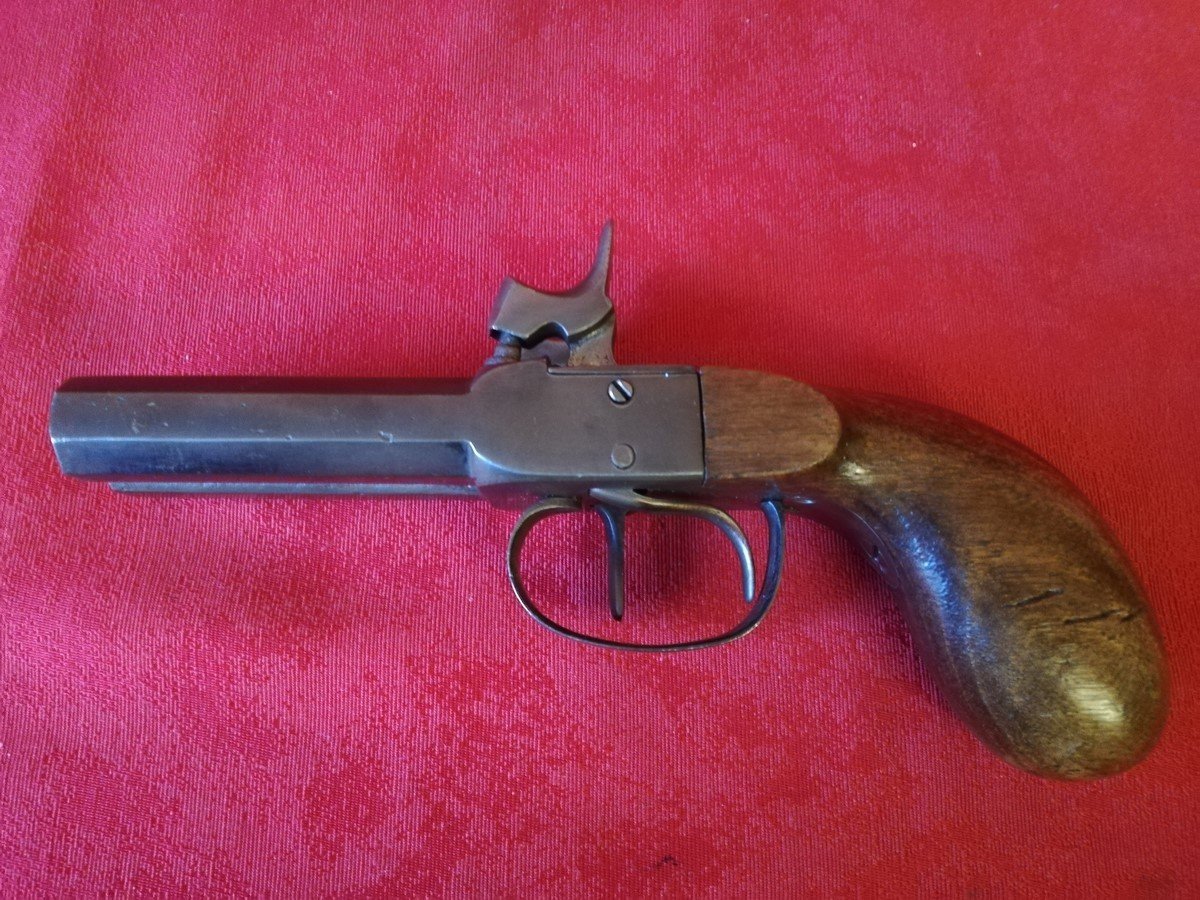 Double Barrel Pistol -photo-2
