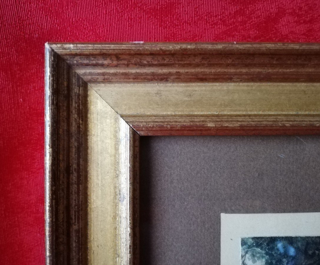 Aquarelle encadrée -photo-3