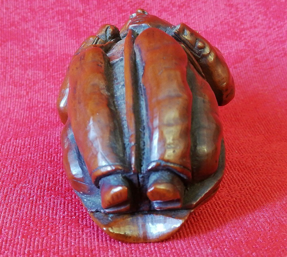 Travail de forçat en corozo-photo-5