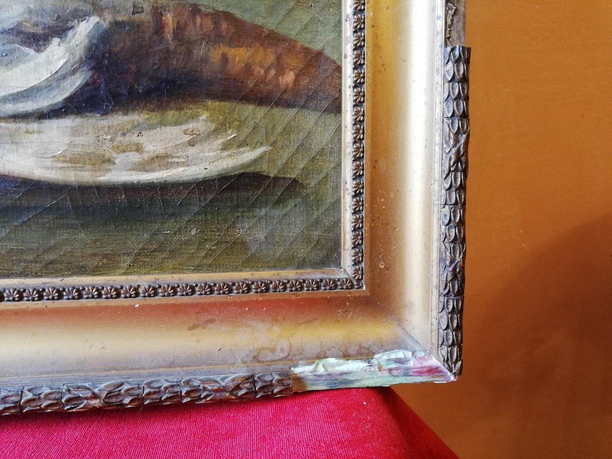 Large Still Life, 19th Century-photo-3