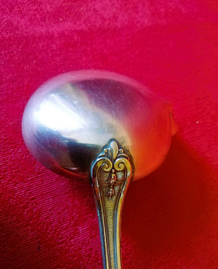 Cream Or Sauce Spoon -photo-4