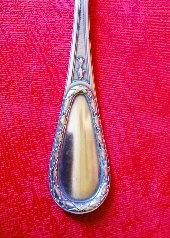 Cream Or Sauce Spoon -photo-4