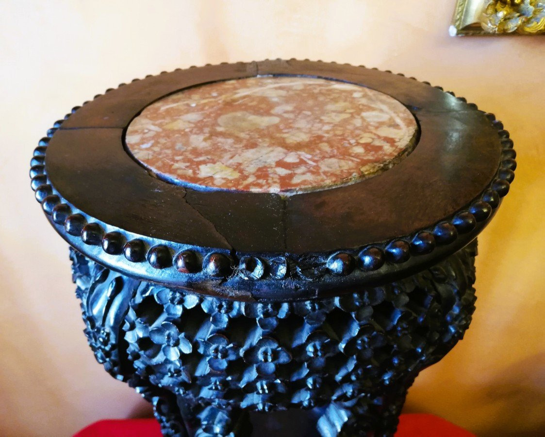 Asian Saddle  -photo-2