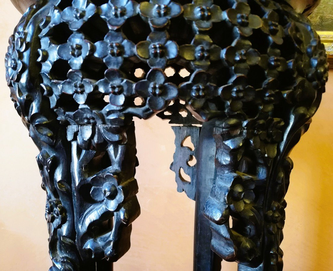 Asian Saddle  -photo-3