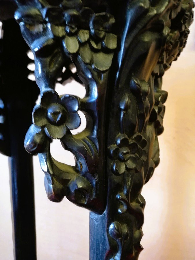 Asian Saddle  -photo-4