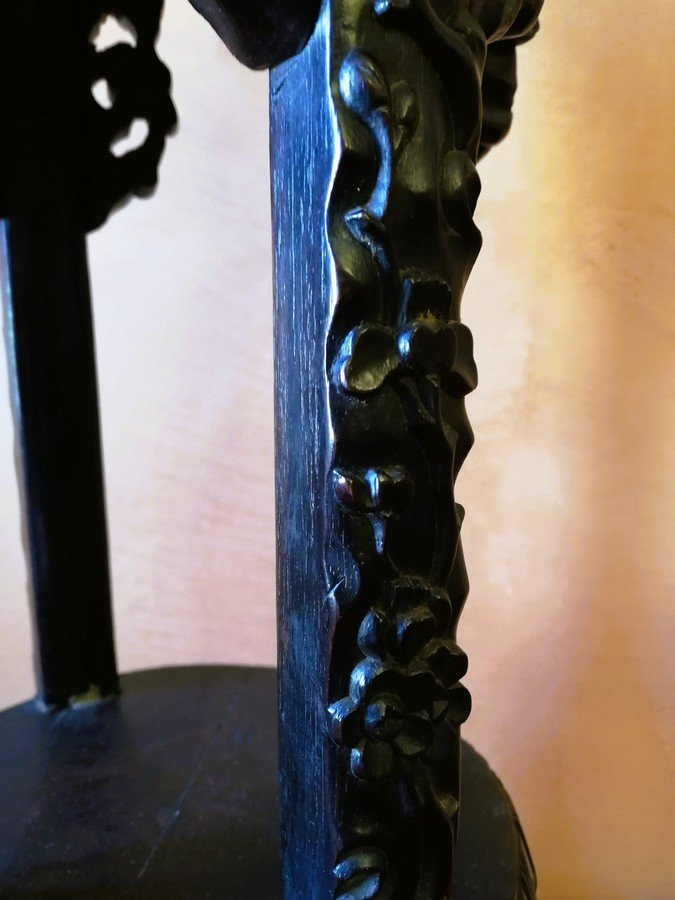 Asian Saddle  -photo-1