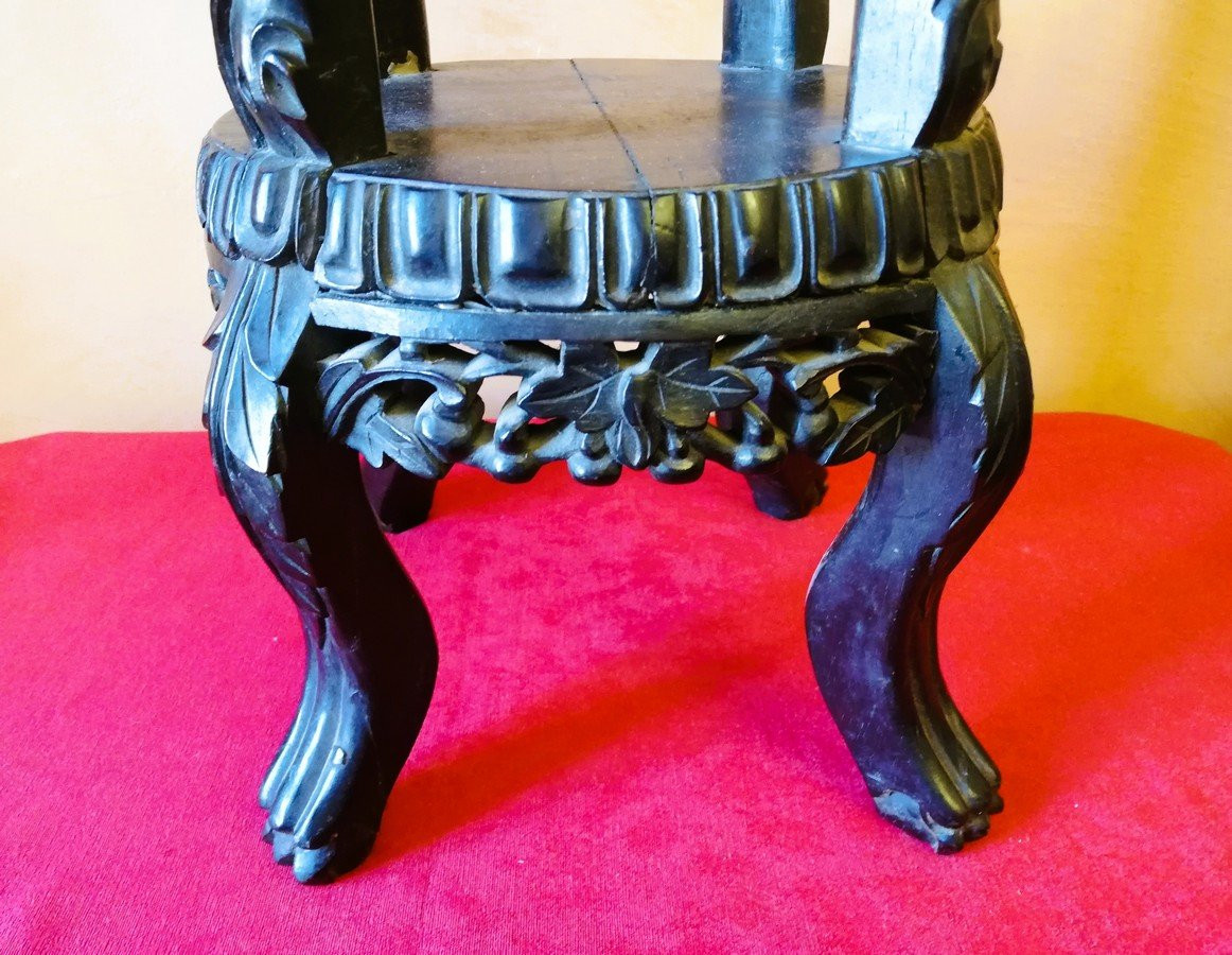 Asian Saddle  -photo-2