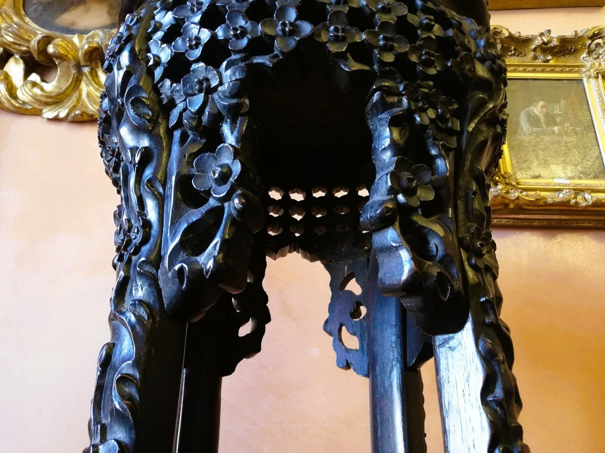 Asian Saddle  -photo-3
