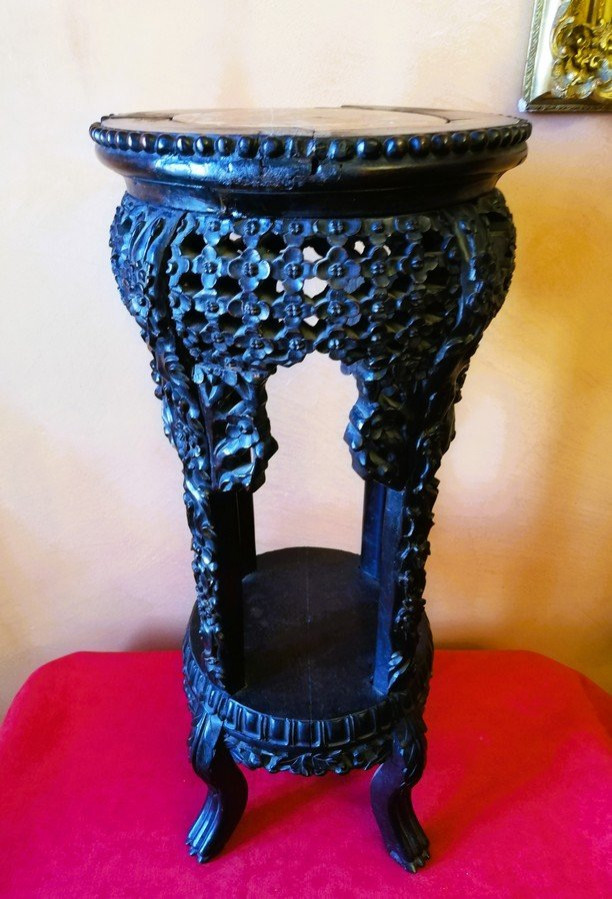 Asian Saddle  -photo-5