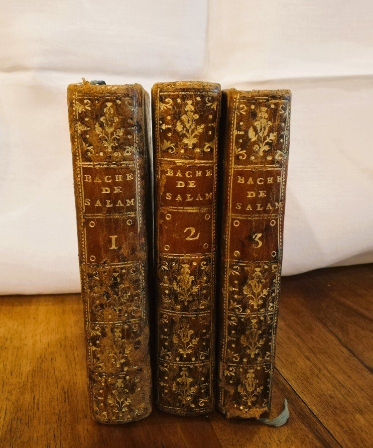 The Bachelor Of Salamanca In Three Volumes-photo-2