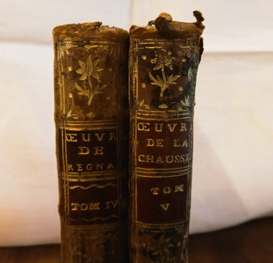 Deux volumes reliés cuir -photo-2