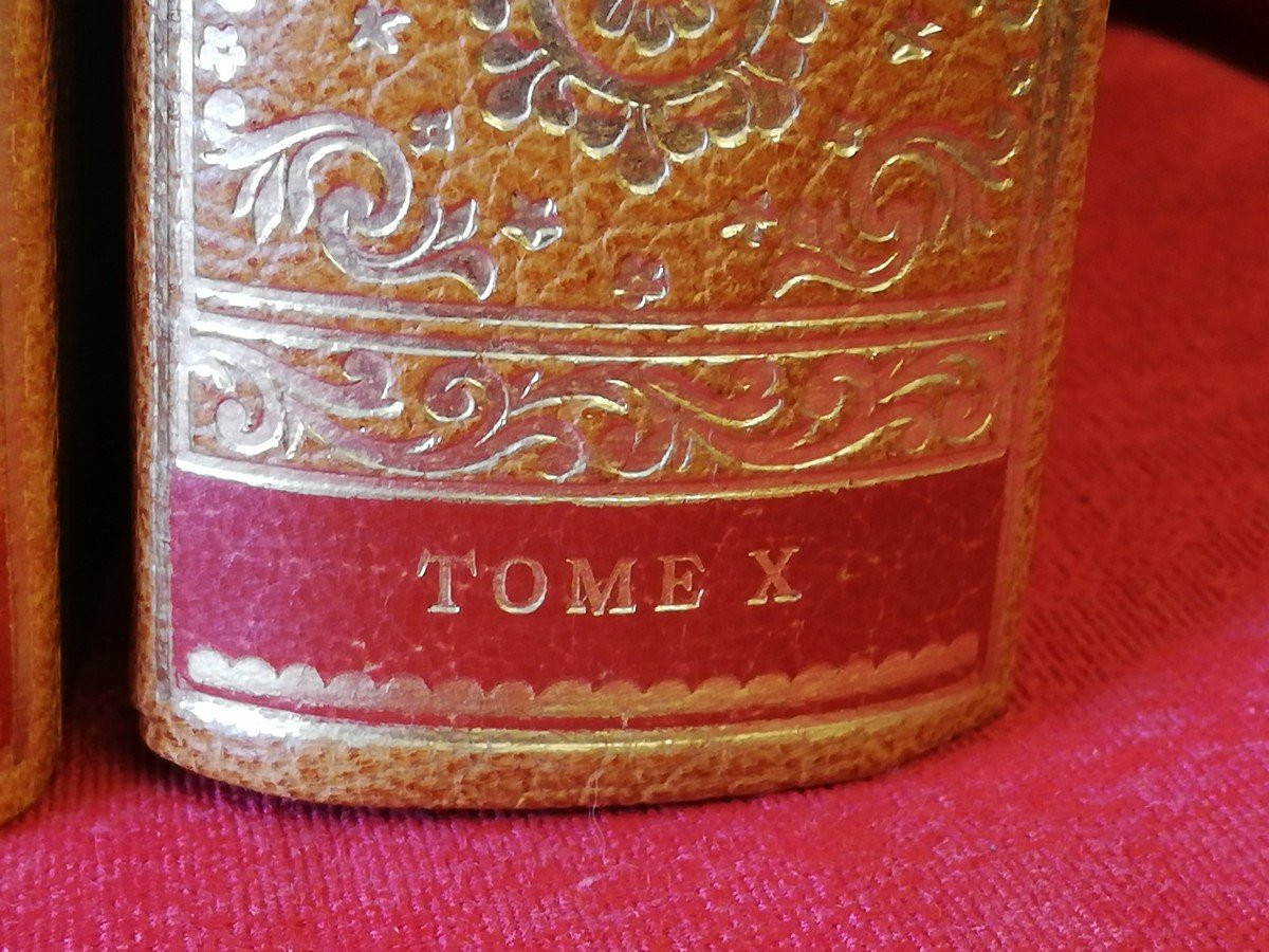 Série de dix volumes reliés cuir -photo-2