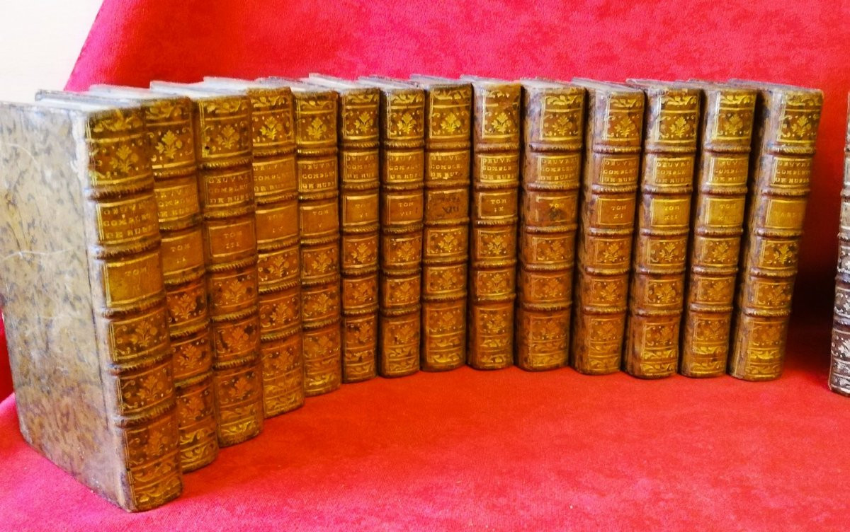 Series Of 20 18th Century Books By Buffon  -photo-2