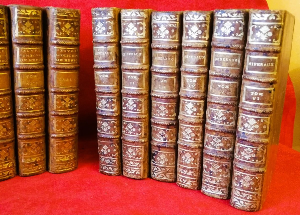 Series Of 20 18th Century Books By Buffon  -photo-3