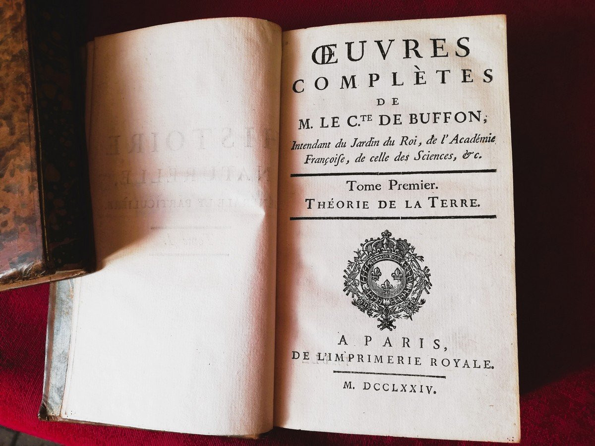 Series Of 20 18th Century Books By Buffon  -photo-4