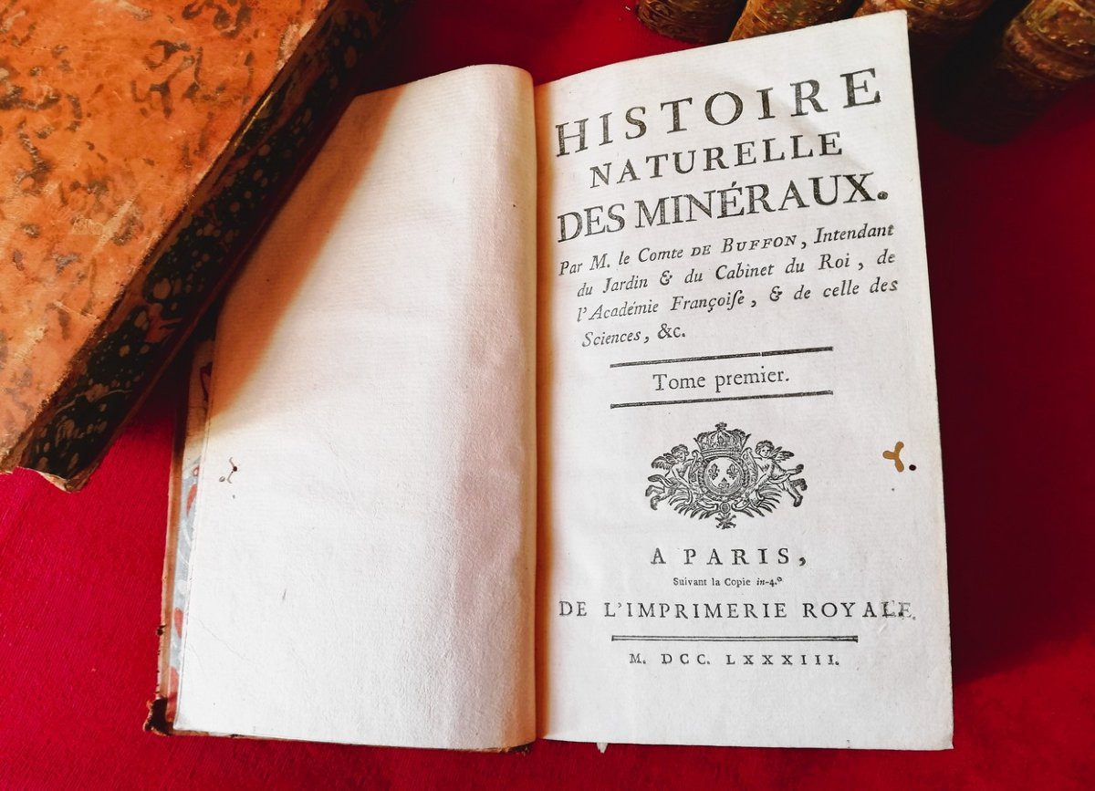 Series Of 20 18th Century Books By Buffon  -photo-5
