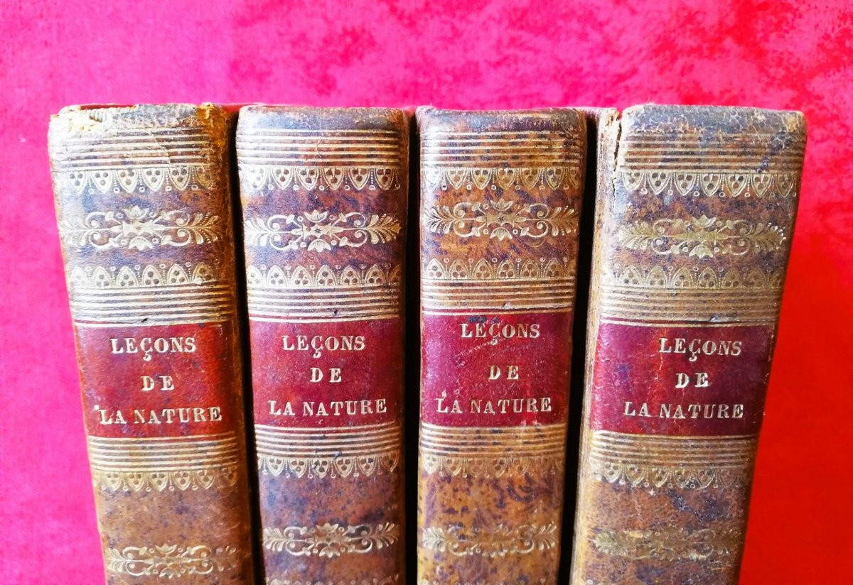 Quatre livres les leçons de la nature -photo-2