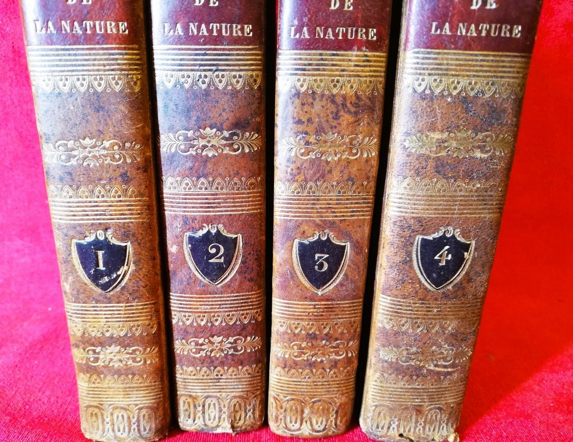 Quatre livres les leçons de la nature -photo-3