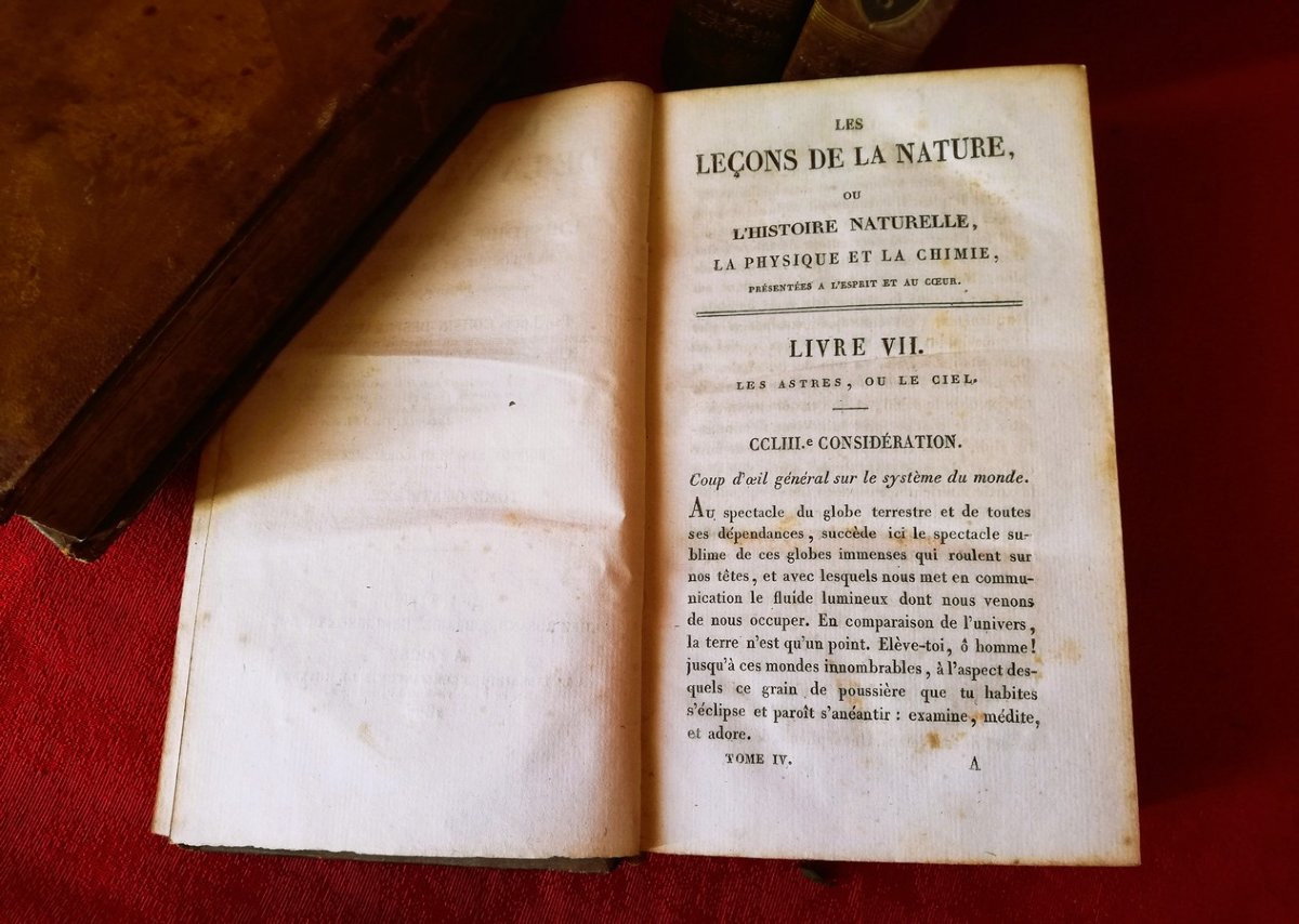 Quatre livres les leçons de la nature -photo-5