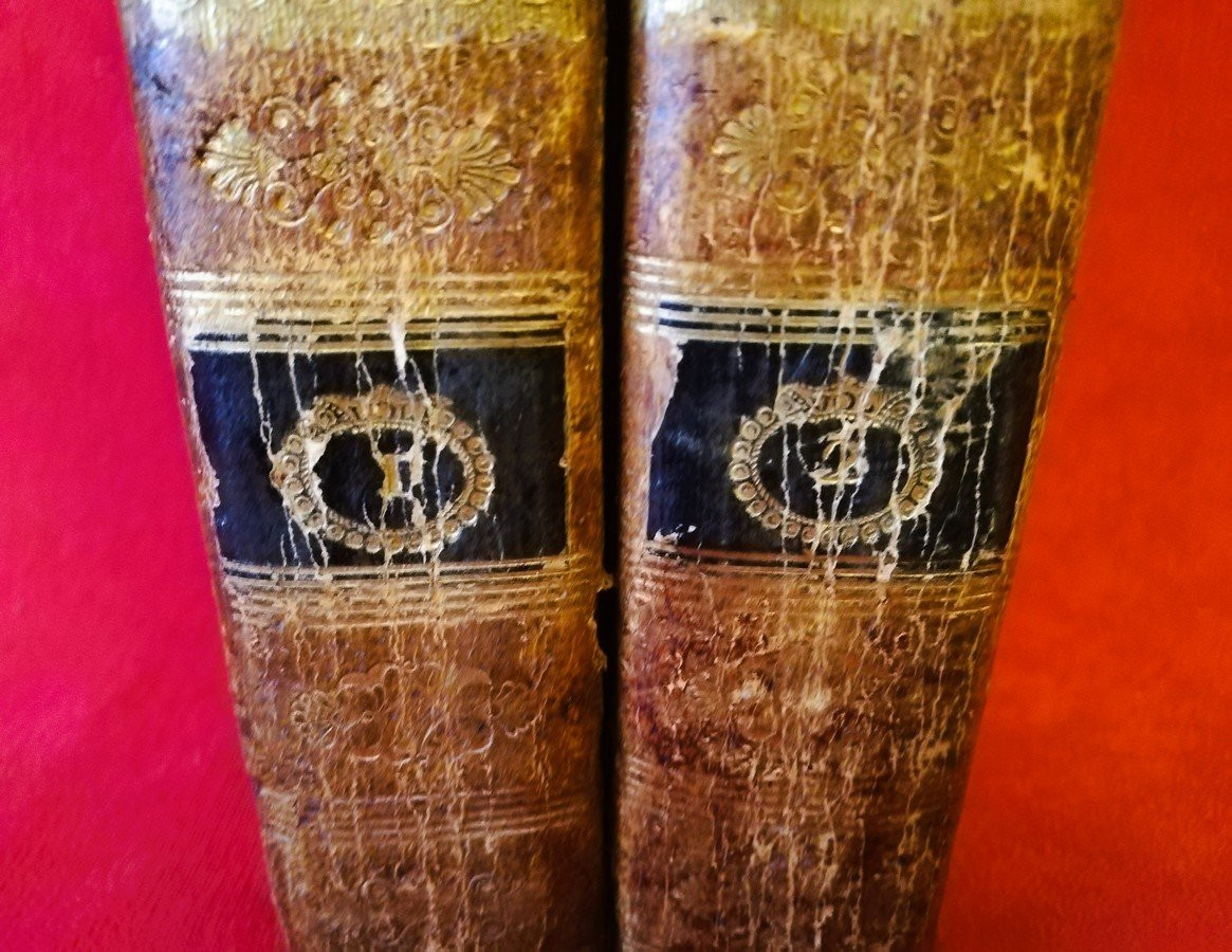 Livres deux volumes L'école du jardin fruitier -photo-3