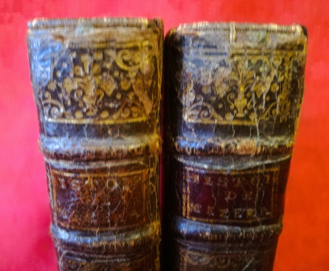 Deux volumes Histoire de Marie de Médicis  -photo-2