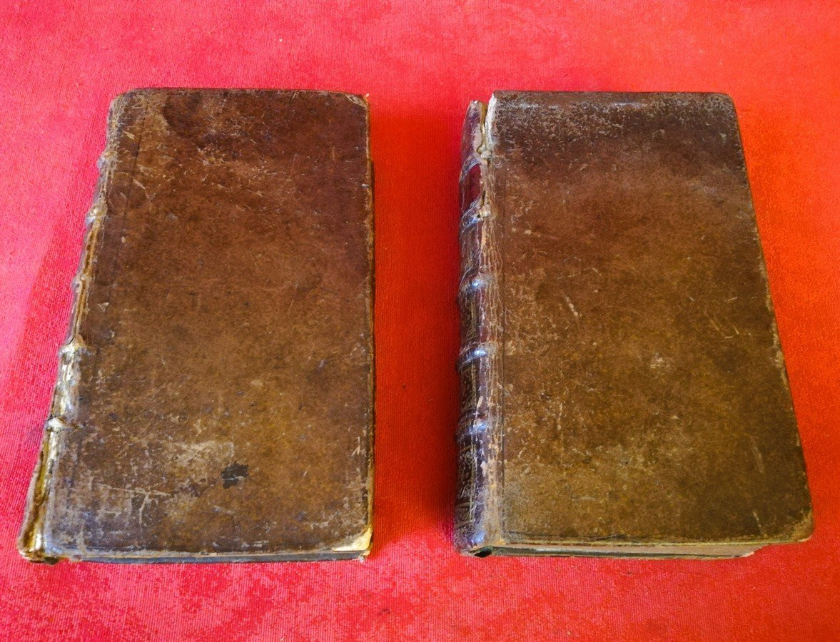 Deux volumes Histoire de Marie de Médicis  -photo-5