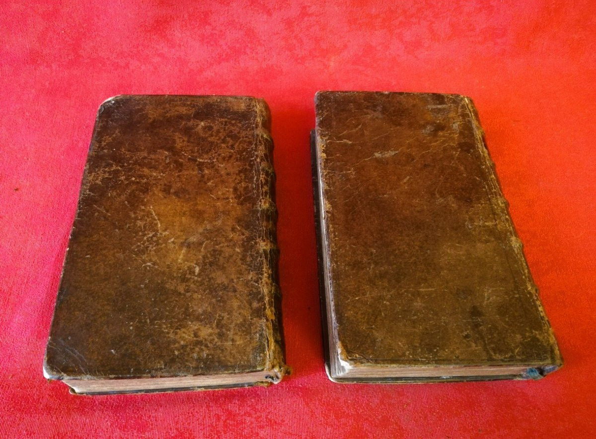 Deux volumes Histoire de Marie de Médicis  -photo-6