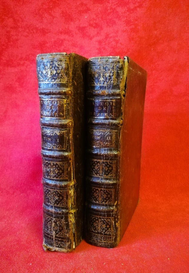 Deux volumes Histoire de Marie de Médicis  