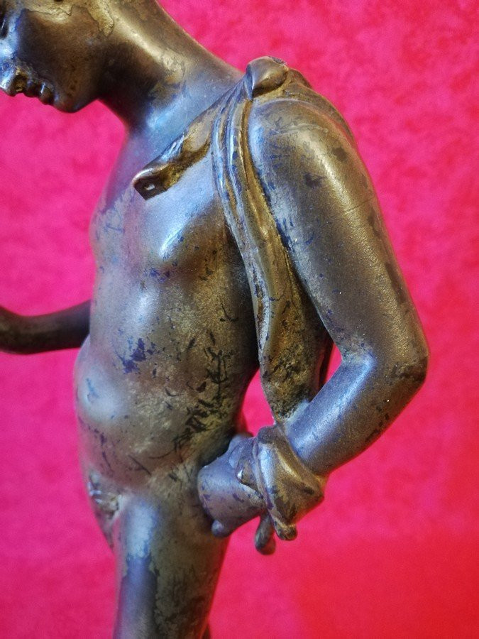 Narcissus Of Pompeii Grand Tour  -photo-3