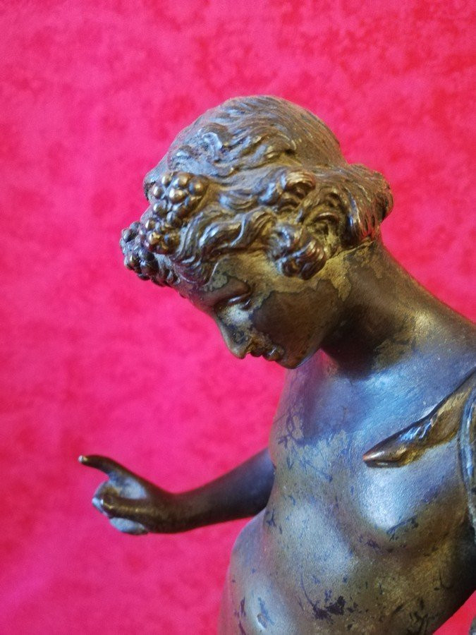 Narcissus Of Pompeii Grand Tour  -photo-4