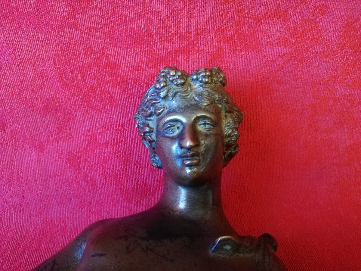 Narcissus Of Pompeii Grand Tour  -photo-6