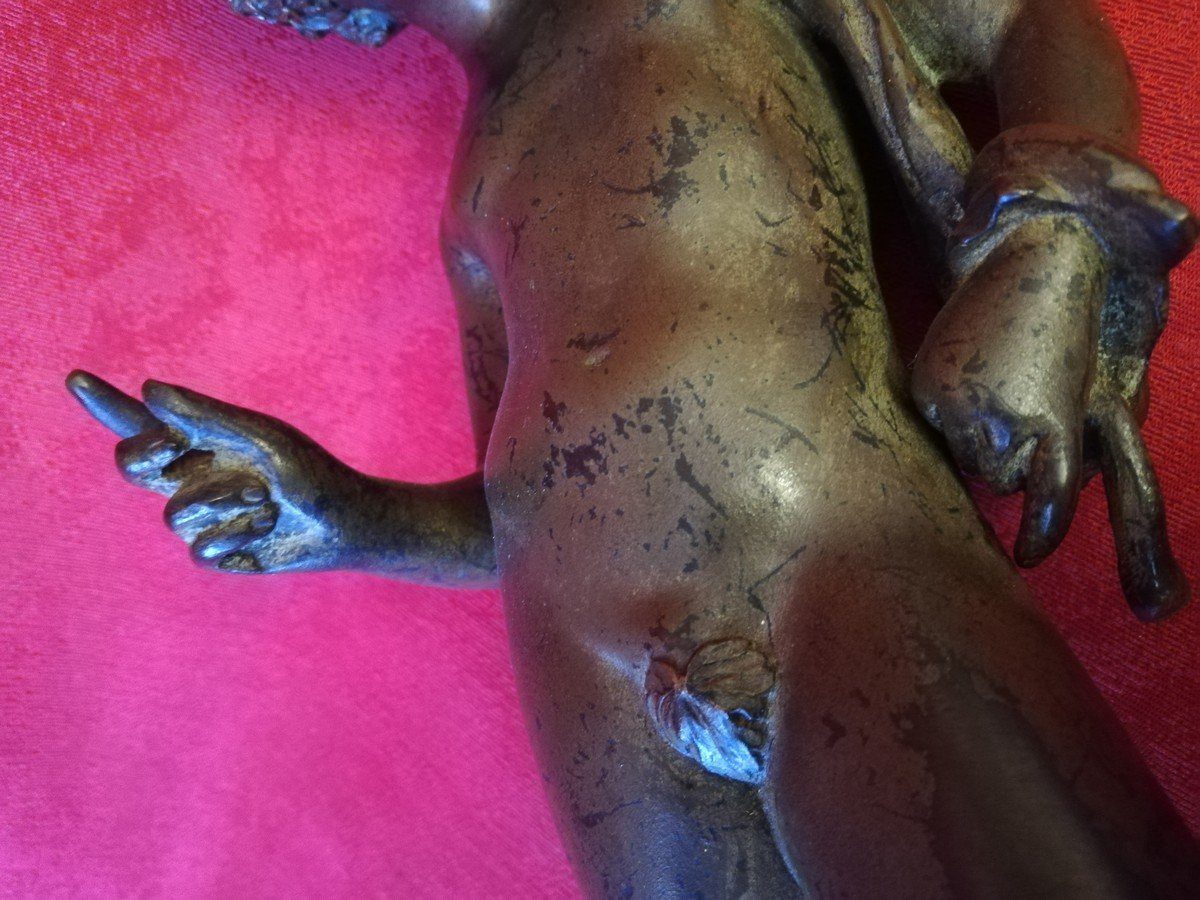 Narcissus Of Pompeii Grand Tour  -photo-7