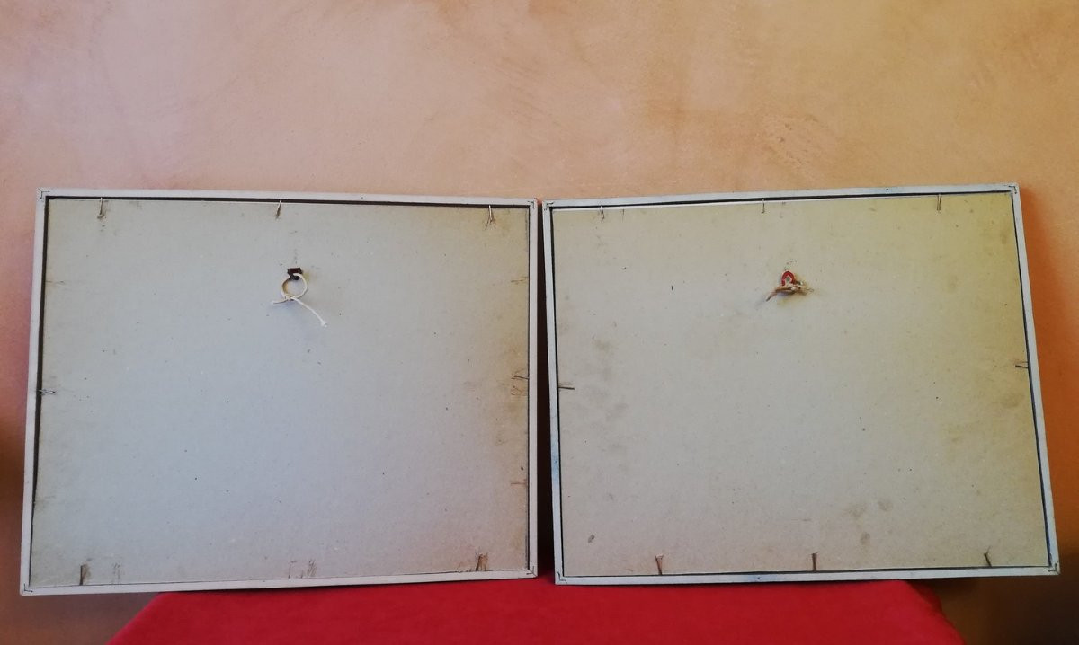 Pair Of Framed Watercolors  -photo-8